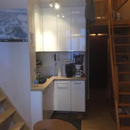 F3 Avec Balcon, 2 Mezzanine, Wifi, Animaux Acceptes, Mont-dore - Fr-1-415-71 Apartment *